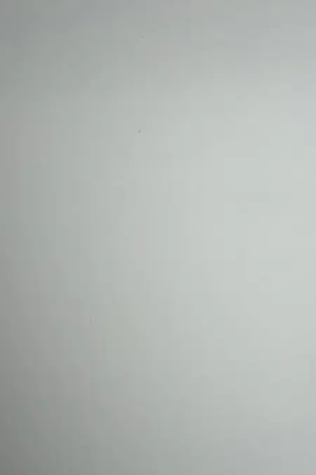 Absolute White Quartz slab