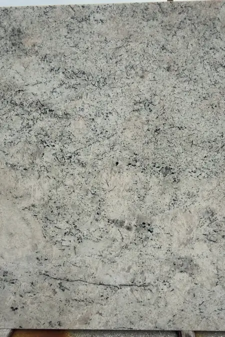 Colonia White Granite slab